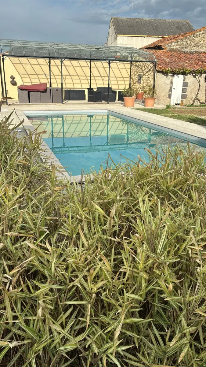 Création d’une piscine béton 8 x 3,6 à Sardon